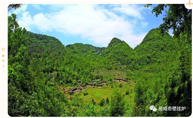 大红鹰dhy(中国)有限公司官网